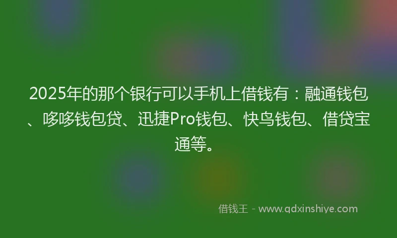 2025年的那个银行可以手机上借钱有：融通钱包、哆哆钱包贷、迅捷Pro钱包、快鸟钱包、借贷宝通等。