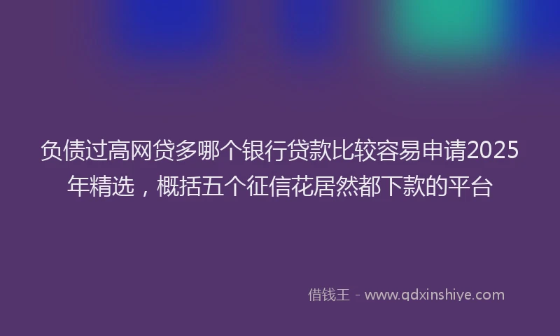 负债过高网贷多哪个银行贷款比较容易申请2025年精选，概括五个征信花居然都下款的平台
