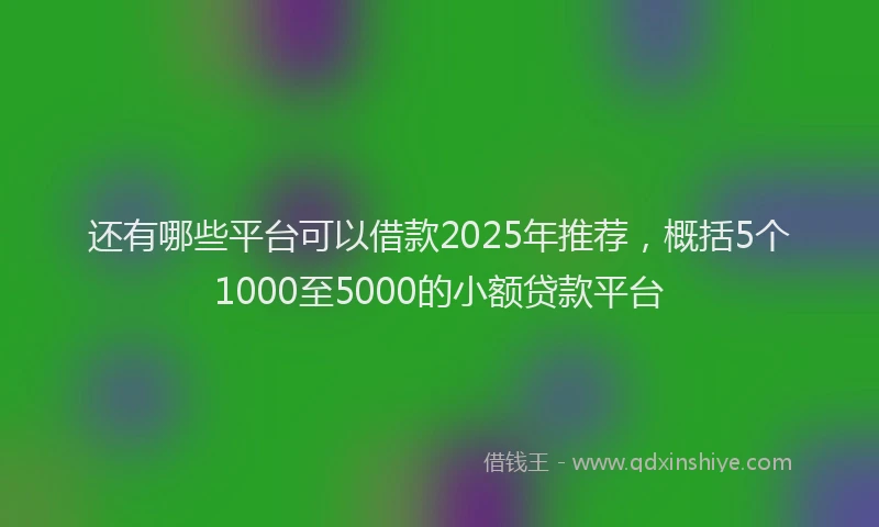 还有哪些平台可以借款2025年推荐，概括5个1000至5000的小额贷款平台