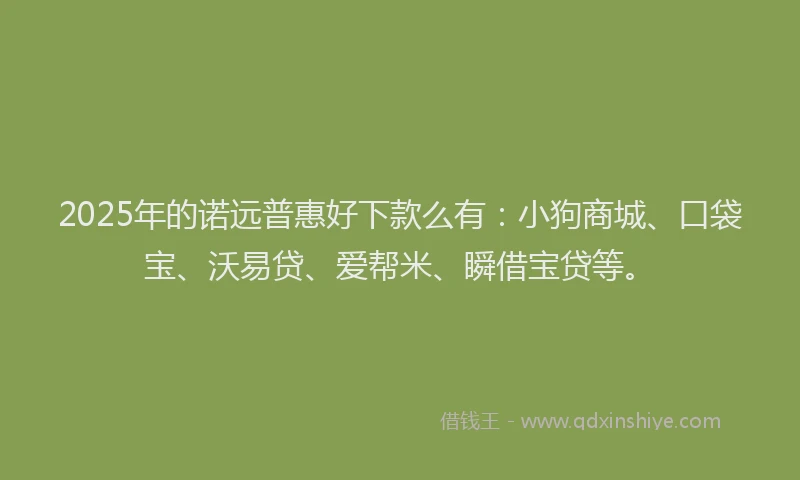2025年的诺远普惠好下款么有：小狗商城、口袋宝、沃易贷、爱帮米、瞬借宝贷等。