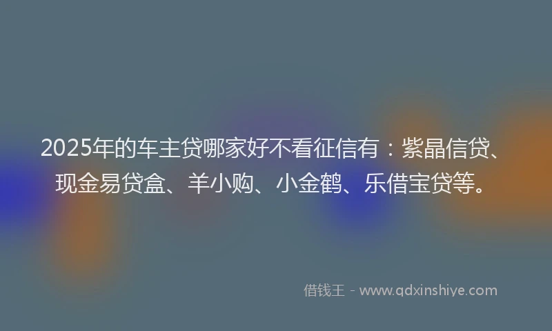 2025年的车主贷哪家好不看征信有：紫晶信贷、现金易贷盒、羊小购、小金鹤、乐借宝贷等。
