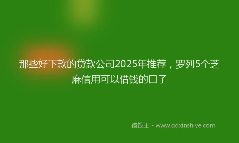那些好下款的贷款公司2025年推荐，罗列5个芝麻信用可以借钱的口子