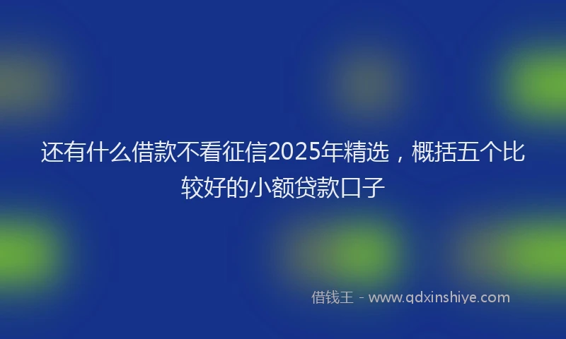 还有什么借款不看征信2025年精选，概括五个比较好的小额贷款口子