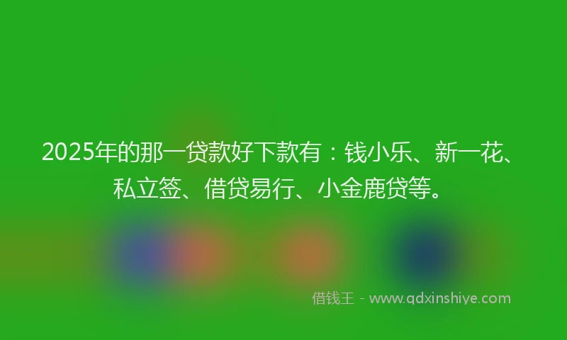 2025年的那一贷款好下款有：钱小乐、新一花、私立签、借贷易行、小金鹿贷等。
