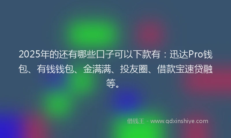 2025年的还有哪些口子可以下款有：迅达Pro钱包、有钱钱包、金满满、投友圈、借款宝速贷融等。