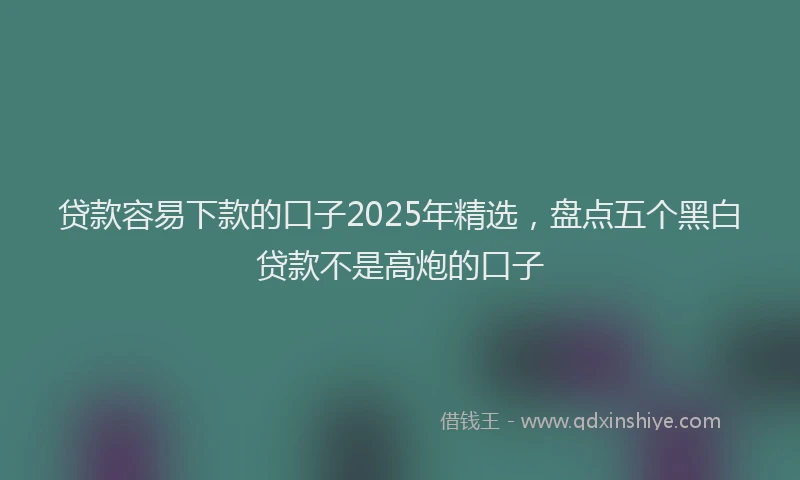 贷款容易下款的口子2025年精选，盘点五个黑白贷款不是高炮的口子