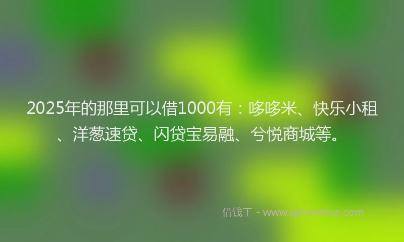 2025年的那里可以借1000有：哆哆米、快乐小租、洋葱速贷、闪贷宝易融、兮悦商城等。