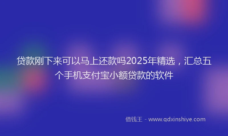 贷款刚下来可以马上还款吗2025年精选，汇总五个手机支付宝小额贷款的软件