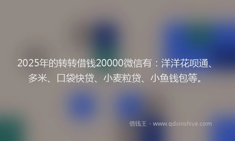 2025年的转转借钱20000微信有：洋洋花呗通、多米、口袋快贷、小麦粒贷、小鱼钱包等。