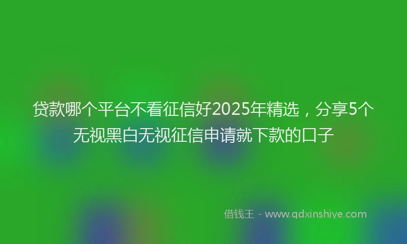 贷款哪个平台不看征信好2025年精选，分享5个无视黑白无视征信申请就下款的口子