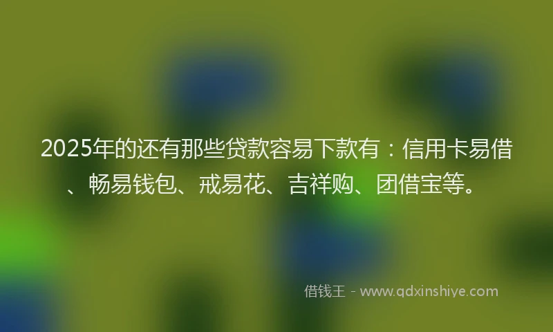 2025年的还有那些贷款容易下款有：信用卡易借、畅易钱包、戒易花、吉祥购、团借宝等。