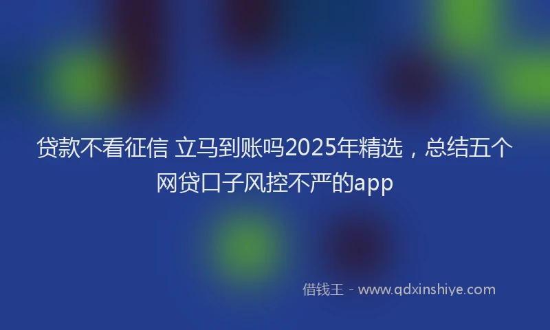 贷款不看征信 立马到账吗2025年精选，总结五个网贷口子风控不严的app