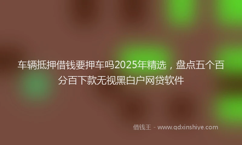 车辆抵押借钱要押车吗2025年精选，盘点五个百分百下款无视黑白户网贷软件