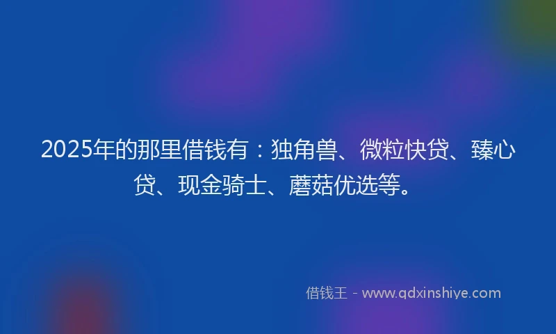 2025年的那里借钱有：独角兽、微粒快贷、臻心贷、现金骑士、蘑菇优选等。