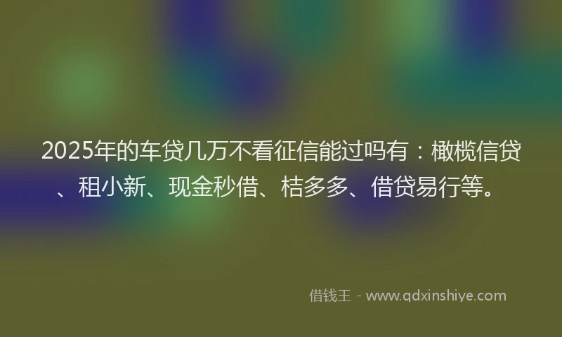 2025年的车贷几万不看征信能过吗有：橄榄信贷、租小新、现金秒借、桔多多、借贷易行等。