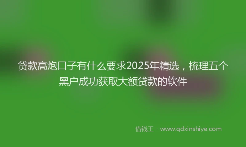 贷款高炮口子有什么要求2025年精选，梳理五个黑户成功获取大额贷款的软件