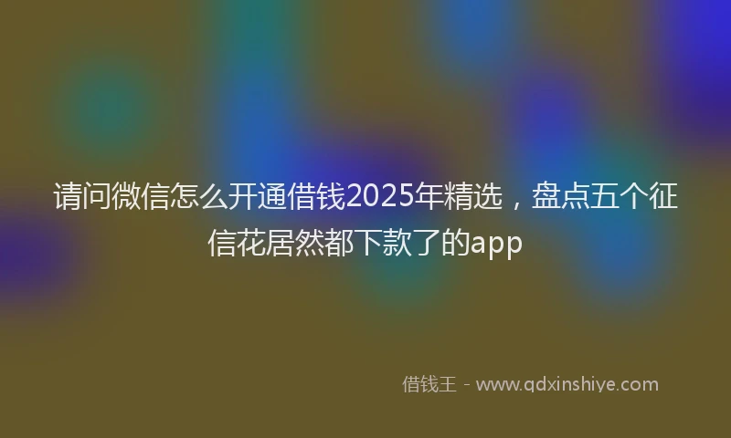 请问微信怎么开通借钱2025年精选，盘点五个征信花居然都下款了的app