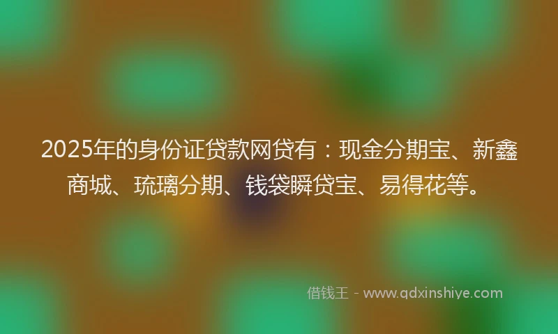 2025年的身份证贷款网贷有：现金分期宝、新鑫商城、琉璃分期、钱袋瞬贷宝、易得花等。