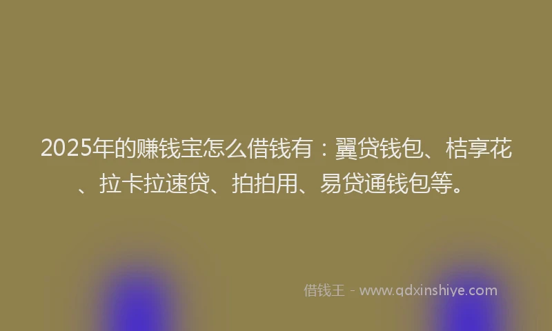 2025年的赚钱宝怎么借钱有：翼贷钱包、桔享花、拉卡拉速贷、拍拍用、易贷通钱包等。
