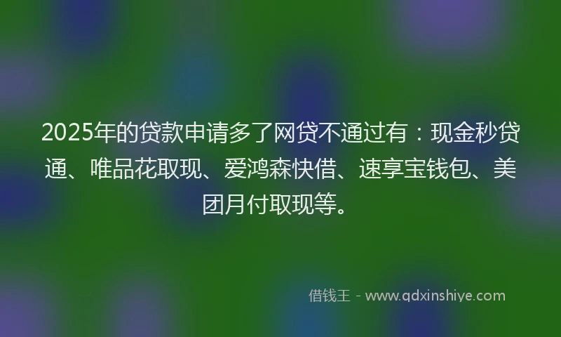 2025年的贷款申请多了网贷不通过有：现金秒贷通、唯品花取现、爱鸿森快借、速享宝钱包、美团月付取现等。