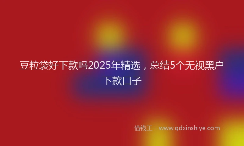 豆粒袋好下款吗2025年精选，总结5个无视黑户下款口子