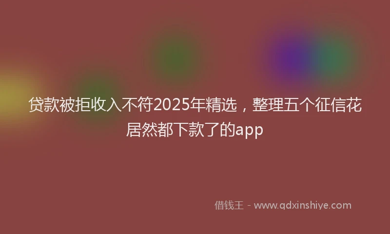 贷款被拒收入不符2025年精选，整理五个征信花居然都下款了的app