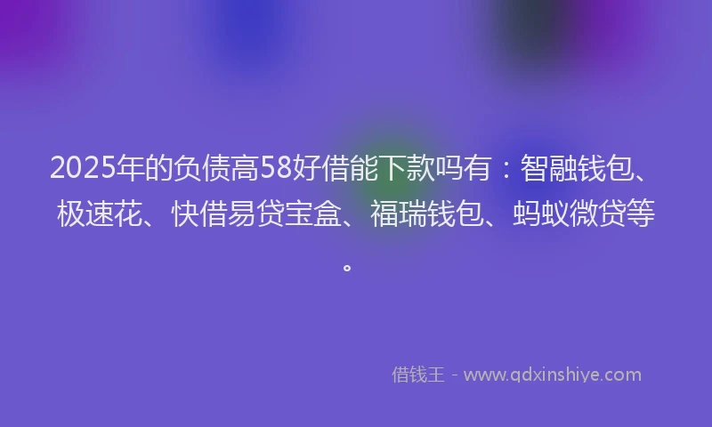 2025年的负债高58好借能下款吗有：智融钱包、极速花、快借易贷宝盒、福瑞钱包、蚂蚁微贷等。