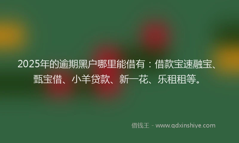 2025年的逾期黑户哪里能借有：借款宝速融宝、甄宝借、小羊贷款、新一花、乐租租等。