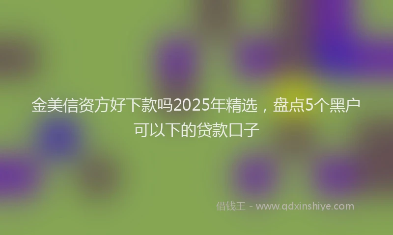 金美信资方好下款吗2025年精选，盘点5个黑户可以下的贷款口子