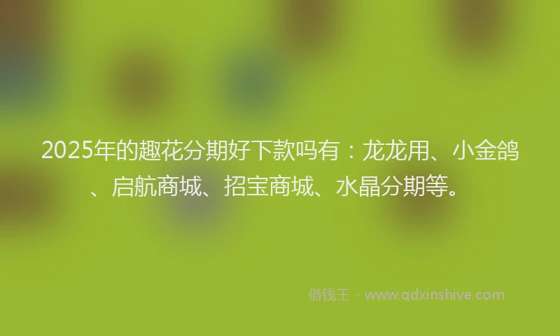 2025年的趣花分期好下款吗有：龙龙用、小金鸽、启航商城、招宝商城、水晶分期等。