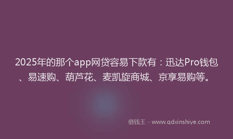 2025年的那个app网贷容易下款有：迅达Pro钱包、易速购、葫芦花、麦凯旋商城、京享易购等。