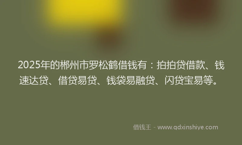 2025年的郴州市罗松鹤借钱有：拍拍贷借款、钱速达贷、借贷易贷、钱袋易融贷、闪贷宝易等。