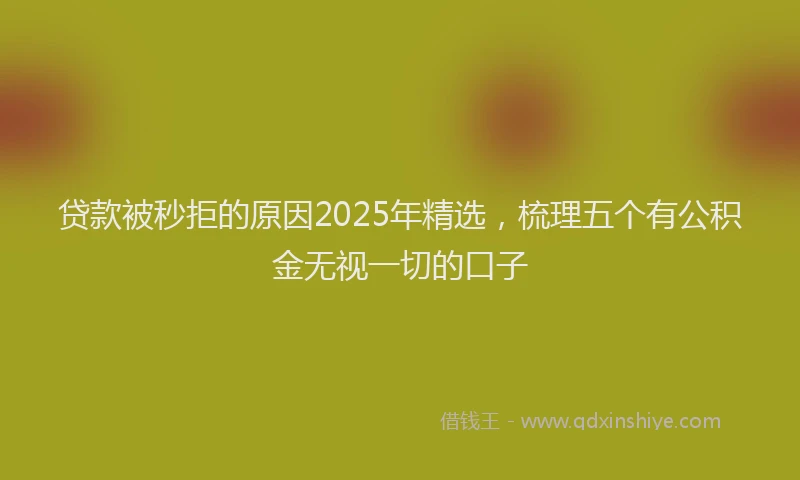 贷款被秒拒的原因2025年精选，梳理五个有公积金无视一切的口子