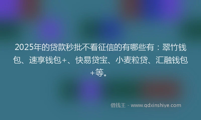 2025年的贷款秒批不看征信的有哪些有：翠竹钱包、速享钱包+、快易贷宝、小麦粒贷、汇融钱包+等。