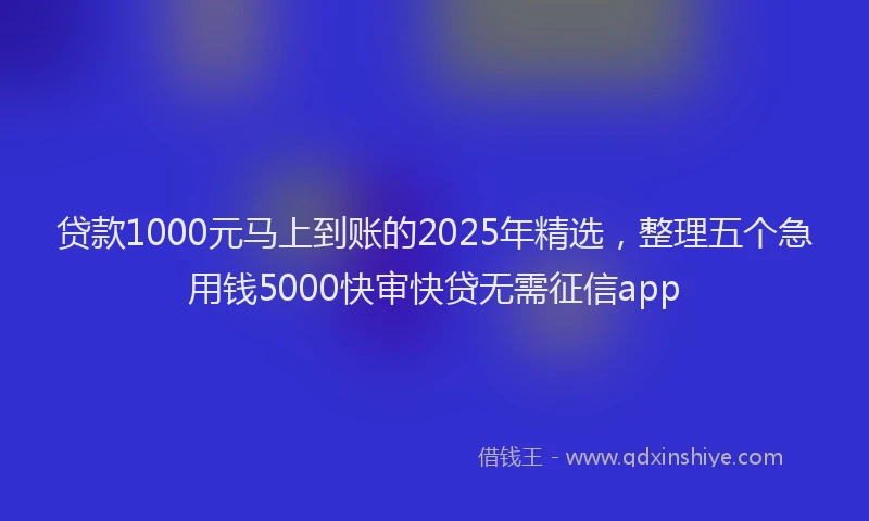 贷款1000元马上到账的2025年精选，整理五个急用钱5000快审快贷无需征信app