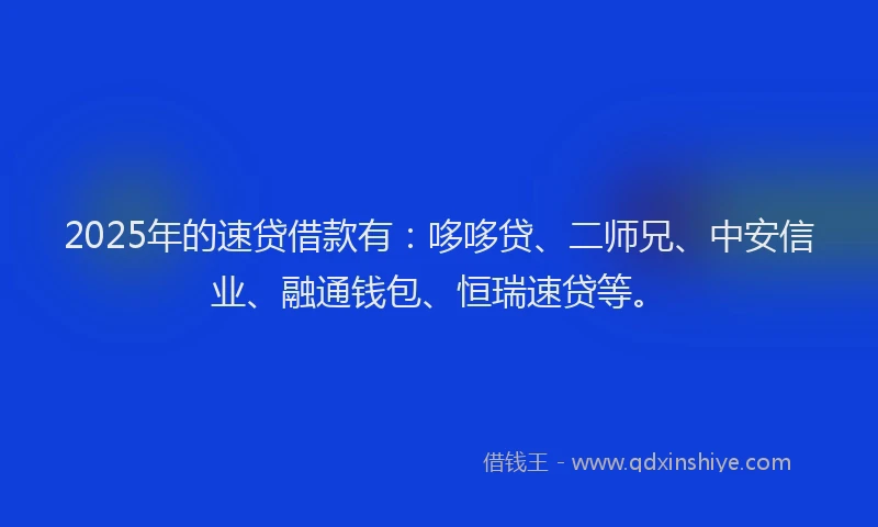 2025年的速贷借款有：哆哆贷、二师兄、中安信业、融通钱包、恒瑞速贷等。
