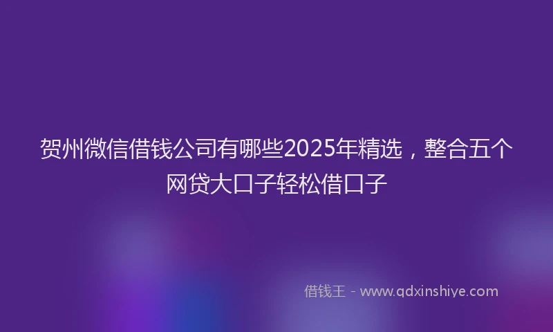 贺州微信借钱公司有哪些2025年精选，整合五个网贷大口子轻松借口子