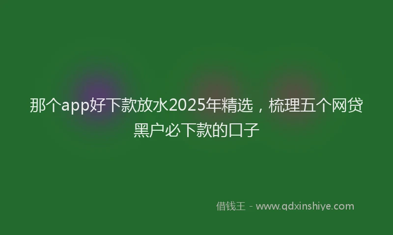 那个app好下款放水2025年精选，梳理五个网贷黑户必下款的口子