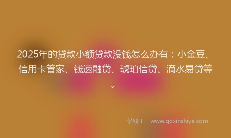 2025年的贷款小额贷款没钱怎么办有：小金豆、信用卡管家、钱速融贷、琥珀信贷、滴水易贷等。