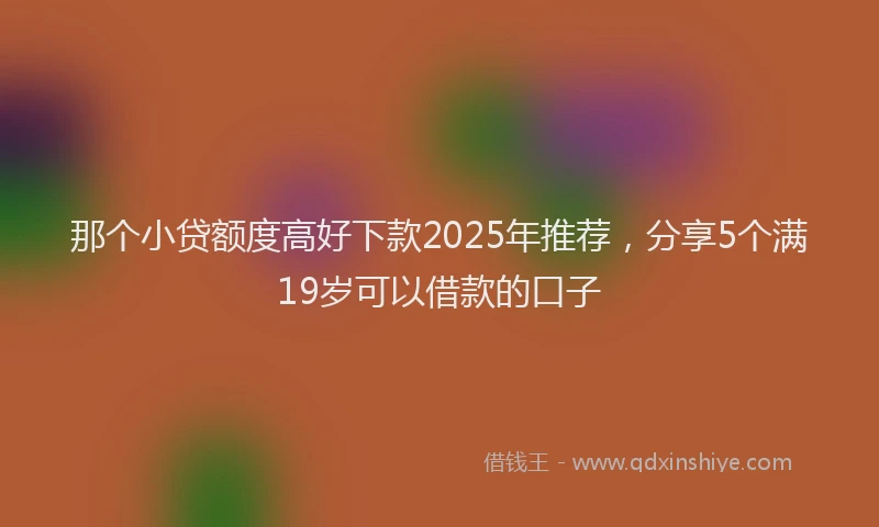 那个小贷额度高好下款2025年推荐，分享5个满19岁可以借款的口子