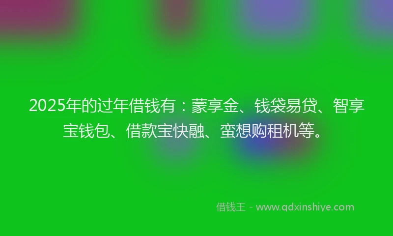 2025年的过年借钱有：蒙享金、钱袋易贷、智享宝钱包、借款宝快融、蛮想购租机等。