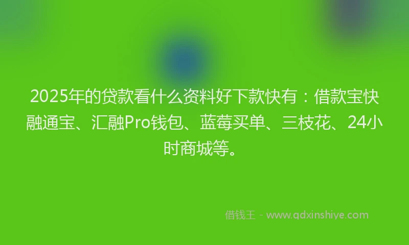 2025年的贷款看什么资料好下款快有：借款宝快融通宝、汇融Pro钱包、蓝莓买单、三枝花、24小时商城等。