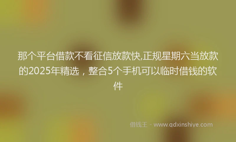 那个平台借款不看征信放款快,正规星期六当放款的2025年精选，整合5个手机可以临时借钱的软件