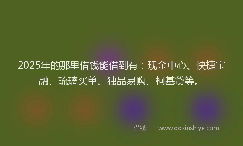 2025年的那里借钱能借到有：现金中心、快捷宝融、琉璃买单、独品易购、柯基贷等。