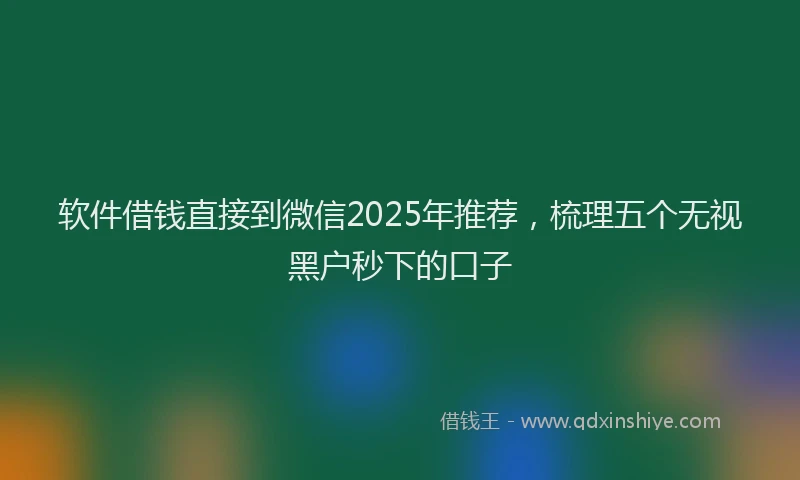 软件借钱直接到微信2025年推荐，梳理五个无视黑户秒下的口子