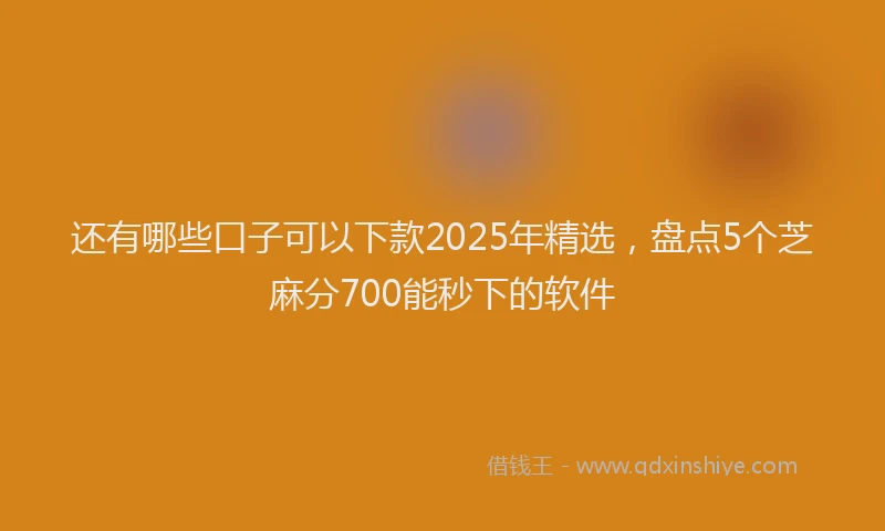 还有哪些口子可以下款2025年精选，盘点5个芝麻分700能秒下的软件