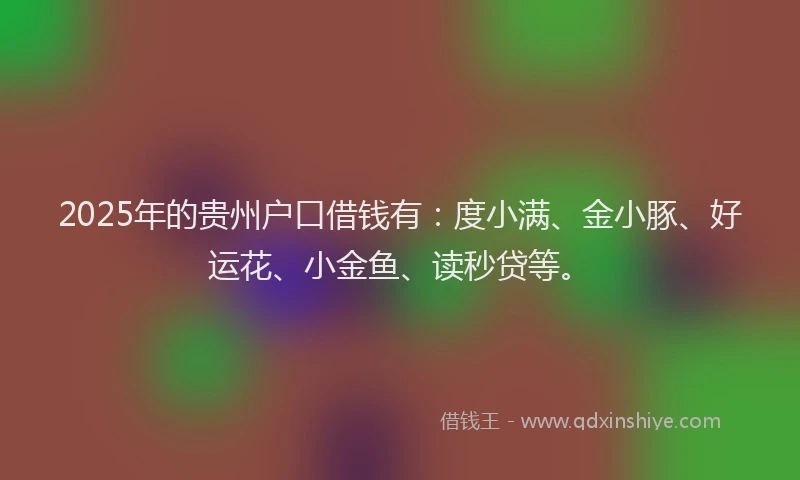 2025年的贵州户口借钱有：度小满、金小豚、好运花、小金鱼、读秒贷等。