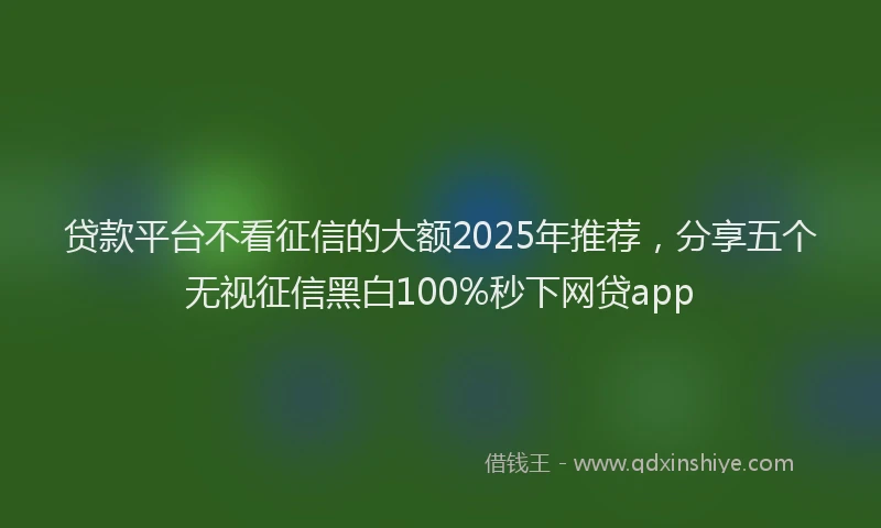 贷款平台不看征信的大额2025年推荐，分享五个无视征信黑白100%秒下网贷app