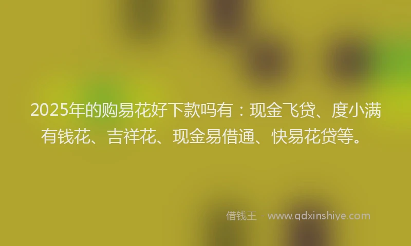 2025年的购易花好下款吗有：现金飞贷、度小满有钱花、吉祥花、现金易借通、快易花贷等。