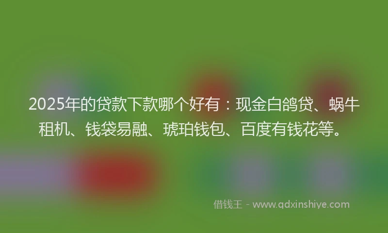 2025年的贷款下款哪个好有：现金白鸽贷、蜗牛租机、钱袋易融、琥珀钱包、百度有钱花等。